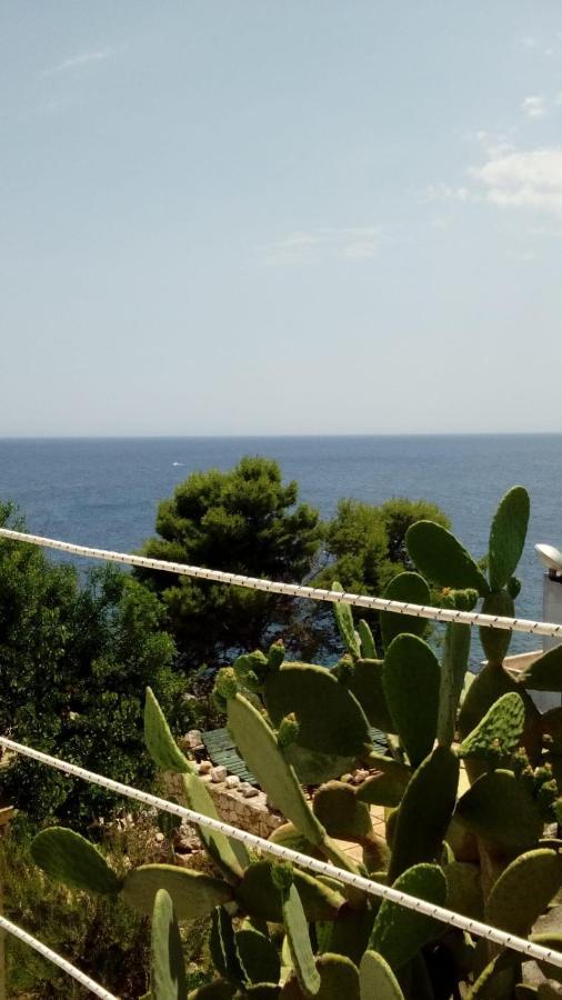 Marina Marittima
