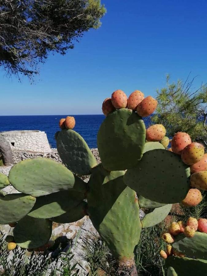 Marina Marittima