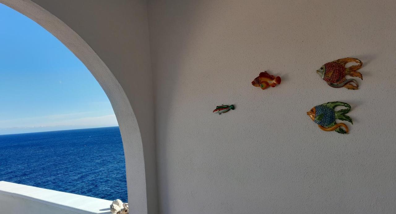 Marina Holiday home
