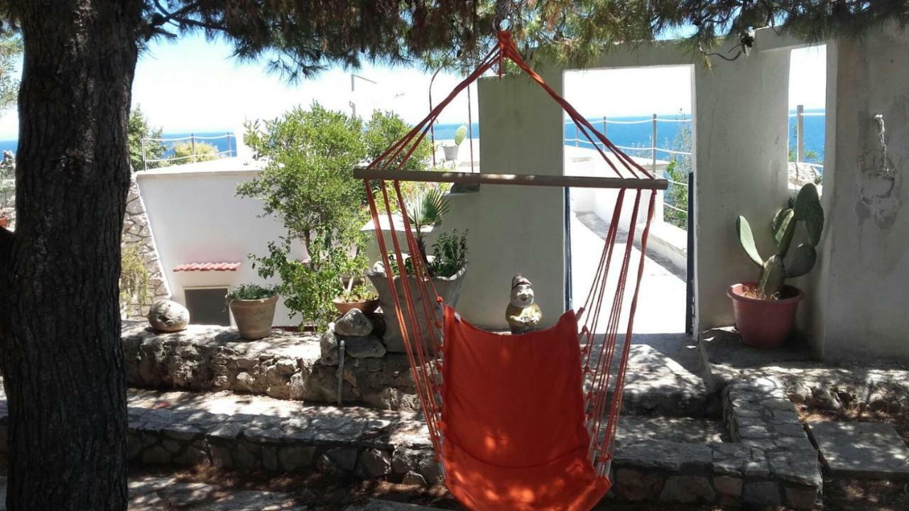 Marina * Marittima